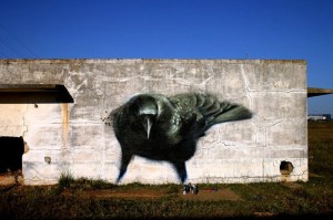 Untitled. From the set "Cuervos". Photograph of Street Art. 2010. La Mesa / El Messa | flickr.com/photos/el_messa