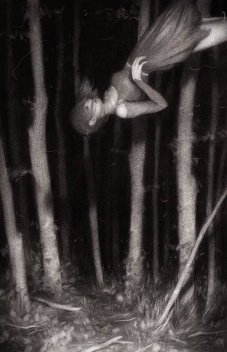 HARVEST by Sam Wolfe Connelly, 2012, graphite/carbon